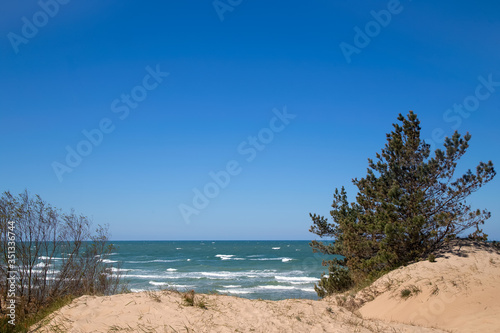 Fototapeta Naklejka Na Ścianę i Meble -  Seashore in clear windy weather