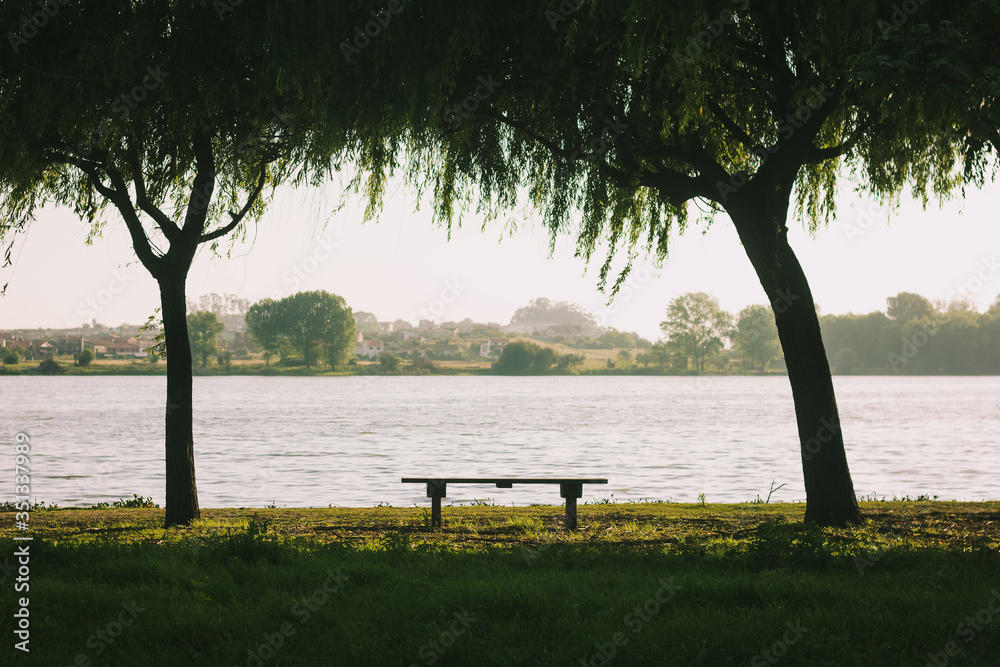 Empty bench by the lake in Pateira de Fermentelos, Portugal. Trees sidelining with water and flora as background. Isolation photo concept