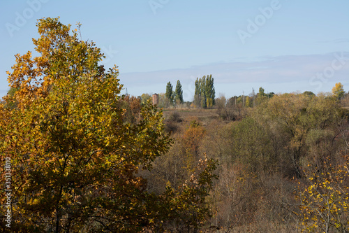 Autumn forest in Ukraine, trees, colorful leaves, beautiful view