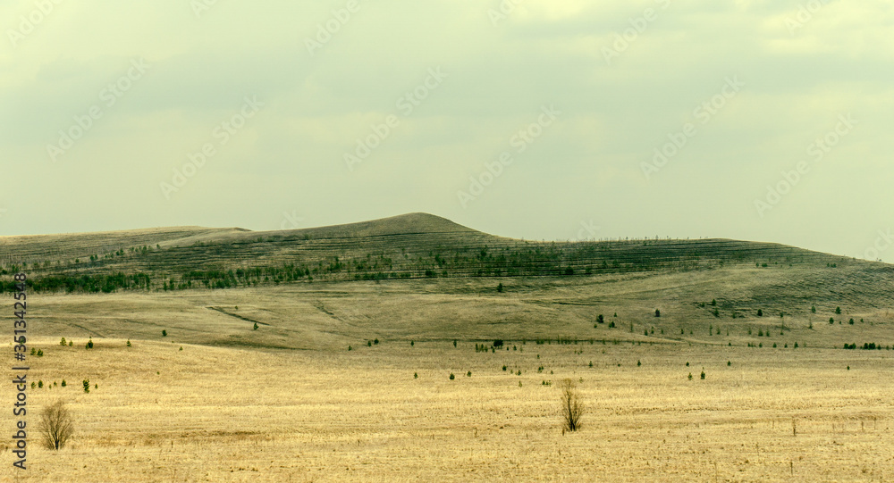 Fototapeta premium lifeness fields in early spring