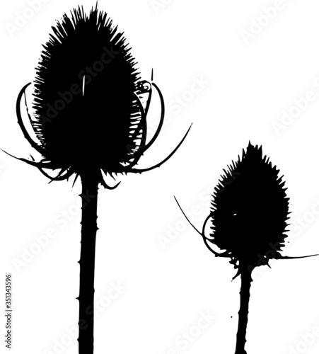 silhouette of a flower