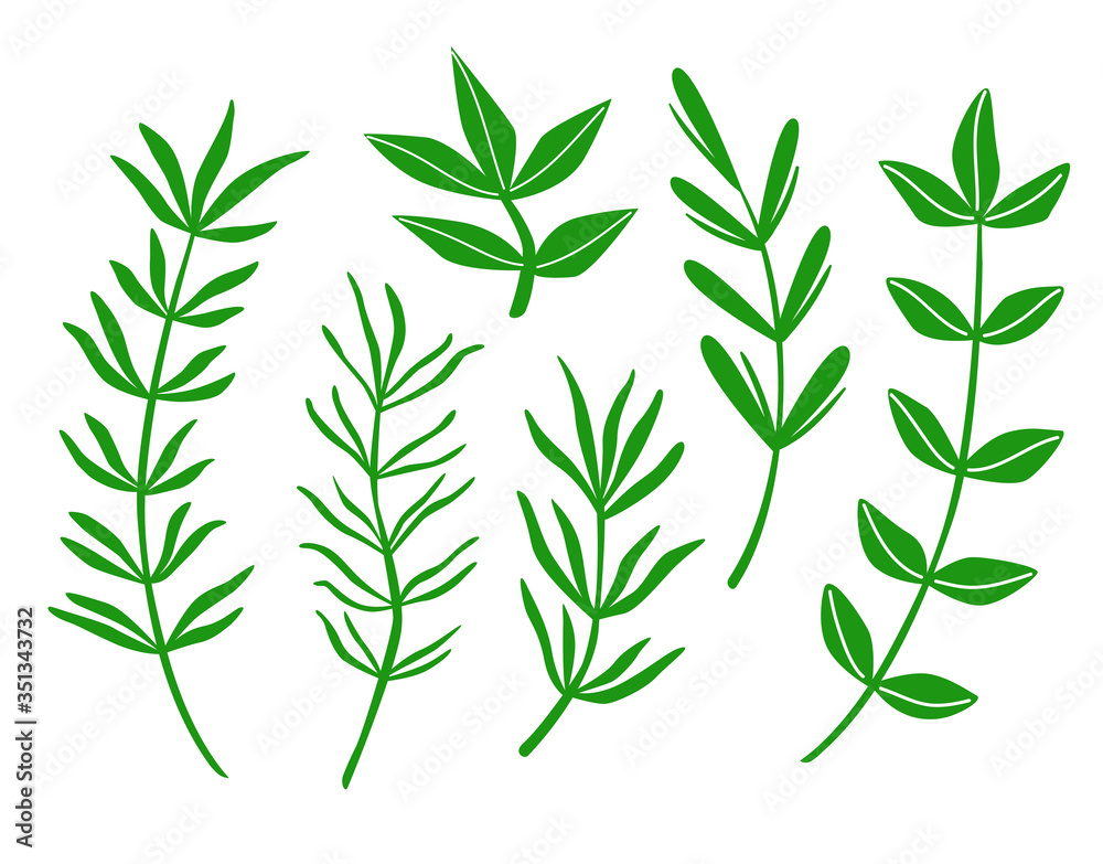Naklejka premium Set of leaves on white background. Vector illustration.