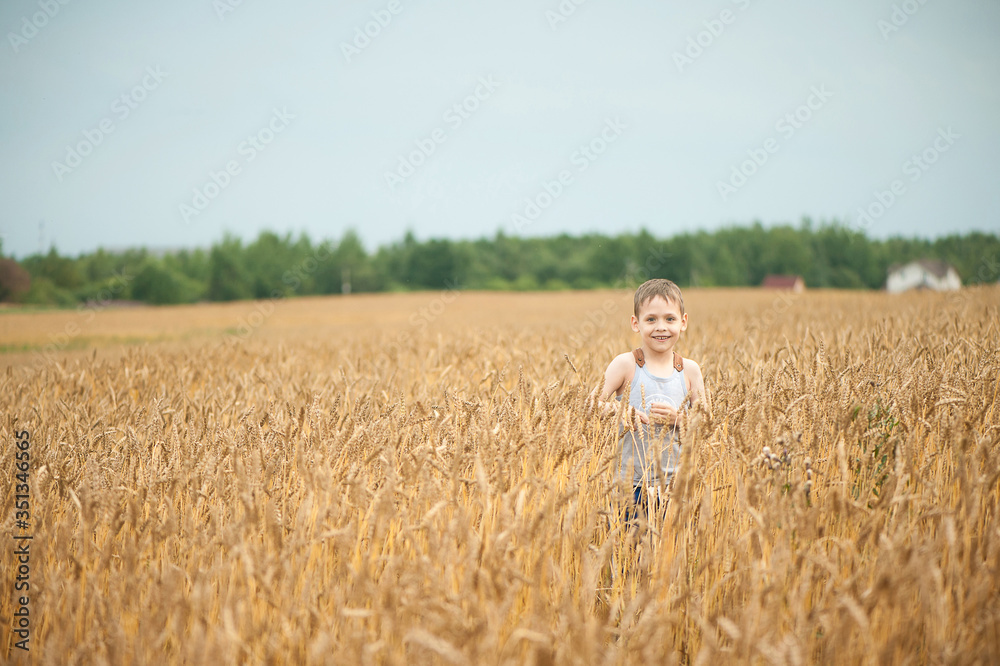 Little cute boy in a gray T-shirt walks on a wheat field in summer. The concept of health, freedom, childhood and joy. Little cute boy in a gray T-shirt walks on a wheat field in summer. The concept of health, freedom, childhood and joy.