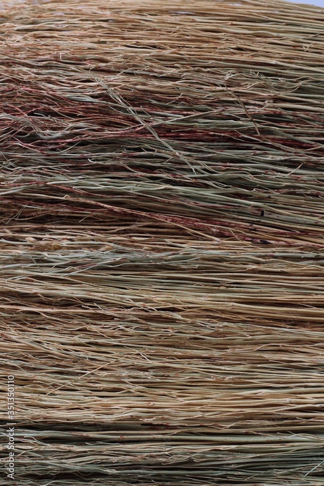 texture of straw, reed, background
texture of straw, reed, background