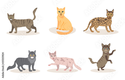 Fanny cartoon cats in different poses. Domestic cats sleeping and walking  sitting and playing  happy and sad kitten vector icons on white background