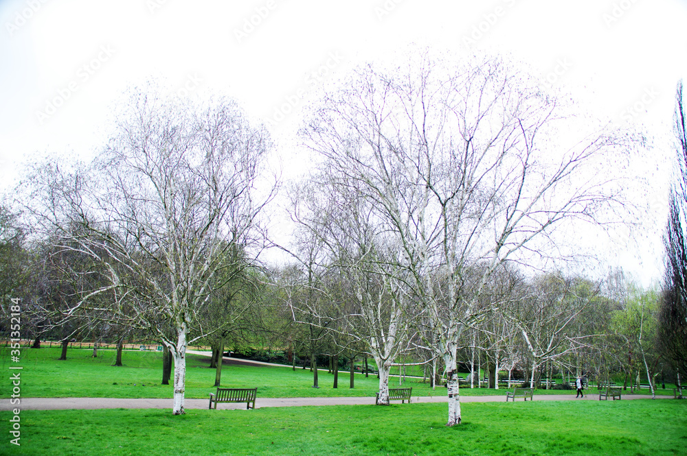 Obraz premium Beautiful park