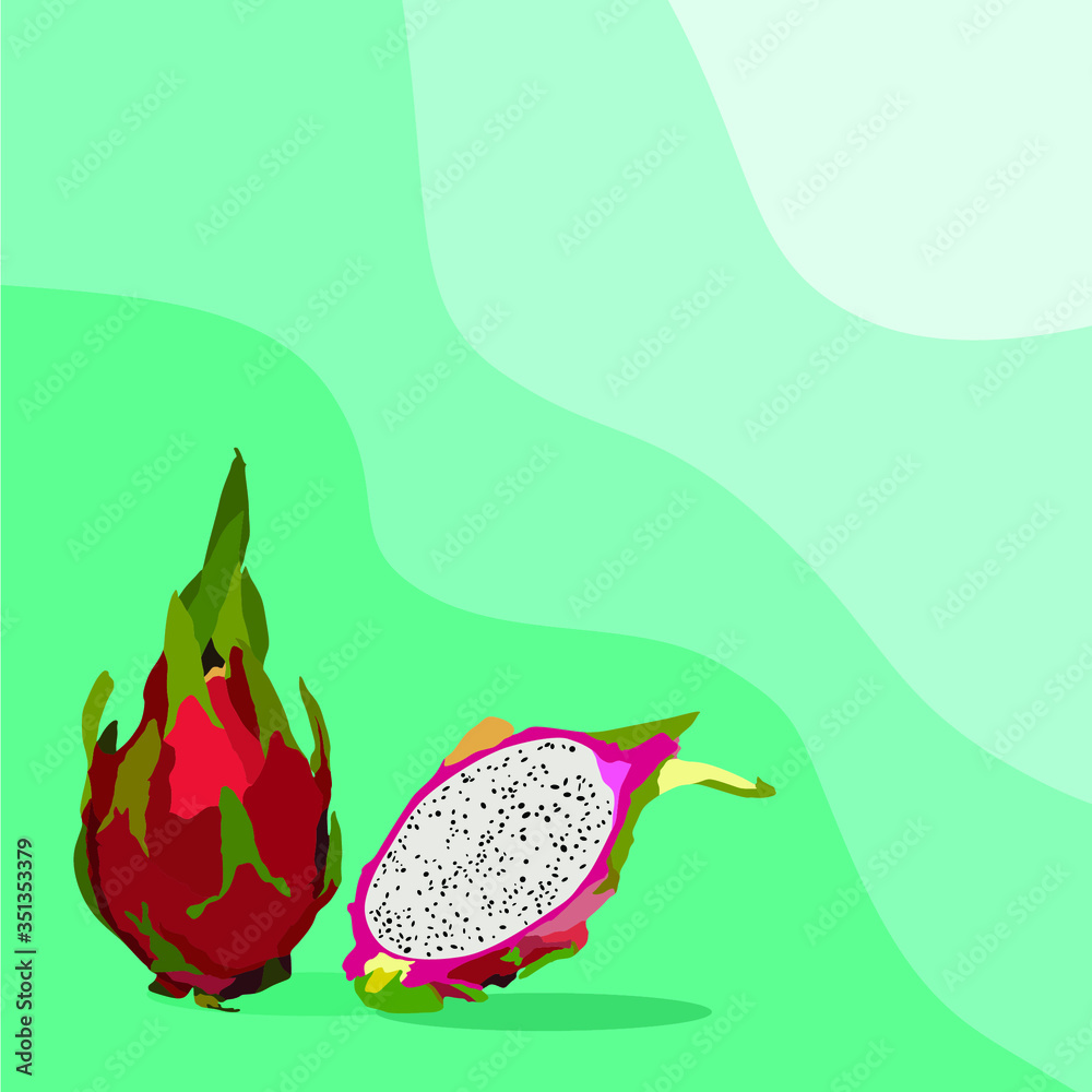 Dragon fruit. Background. Smooth lines. Advertising banner. Vector graphics