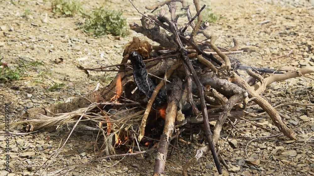 Man prepares wood fire in wild nature. Survive concept, lost in the nature
Man prepares wood fire in wild nature. Survive concept, lost in the nature