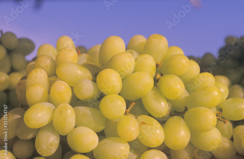 Close up of green grapes at a fruit stand in White Pigeon, NY