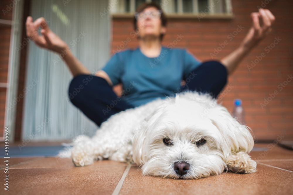 Senior woman meditating on balcony, dog in the foreground Senior woman meditating on balcony, dog in the foreground