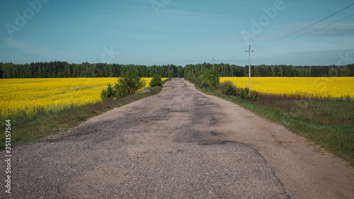 Old asphalt road in the field with yellow flowers. Spring Belarusian landscape with bright blue sky.