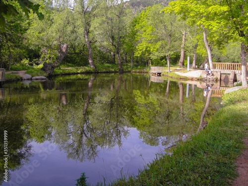 Father and child at lake in the forest