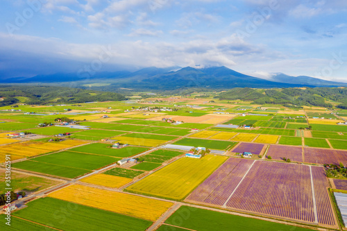 Aerial view of farmland, Furano, Hokkaido, Japan, Asia photo