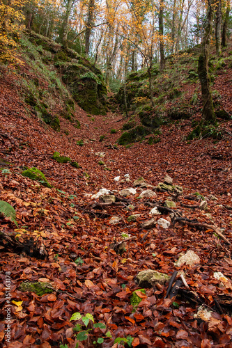 Autumn landscapes in the Umbra forest within the Gargano National Park photo