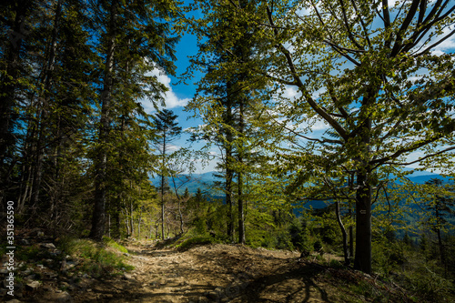 Fototapeta Naklejka Na Ścianę i Meble -  Spring trekking Beskidy Rysianka Romanka