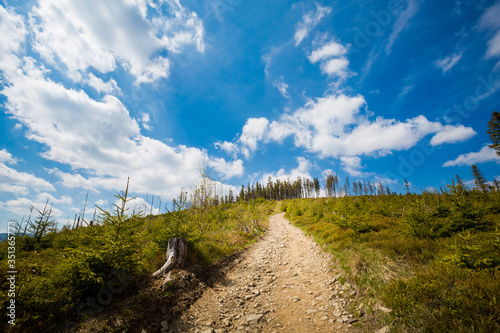 Fototapeta Naklejka Na Ścianę i Meble -  Spring trekking Beskidy Rysianka Romanka