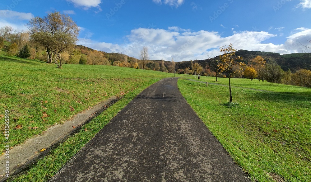 a gray road in a green park during fall in a sunny day