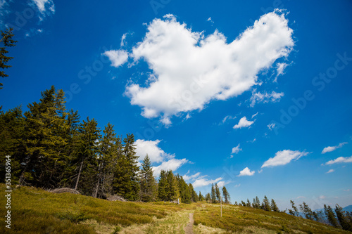 Fototapeta Naklejka Na Ścianę i Meble -  Spring trekking Beskidy Rysianka Romanka