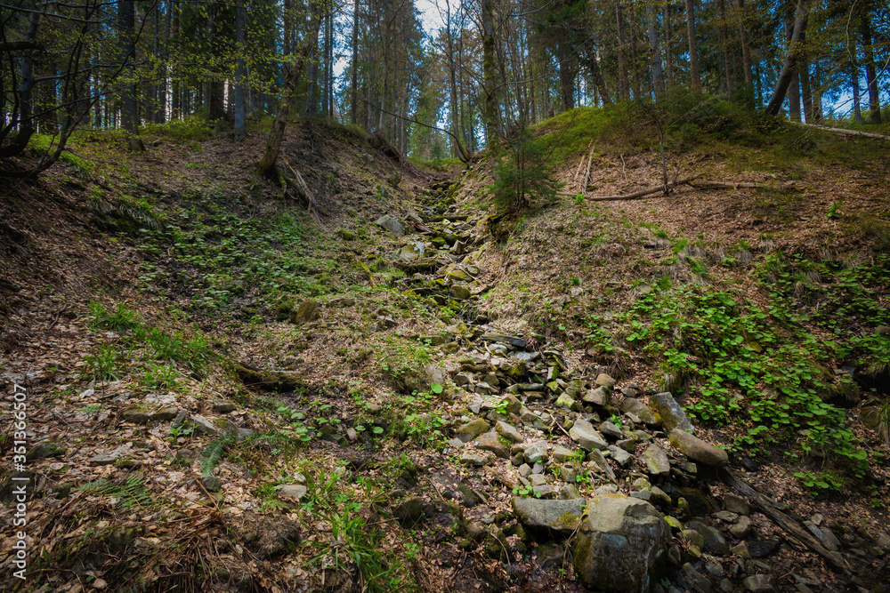 Spring trekking Beskidy Rysianka Romanka Spring trekking Beskidy Rysianka Romanka