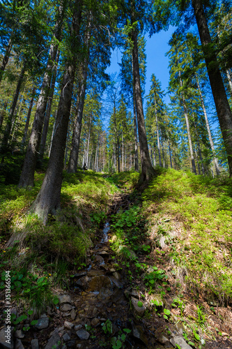 Fototapeta Naklejka Na Ścianę i Meble -  Spring trekking Beskidy Rysianka Romanka