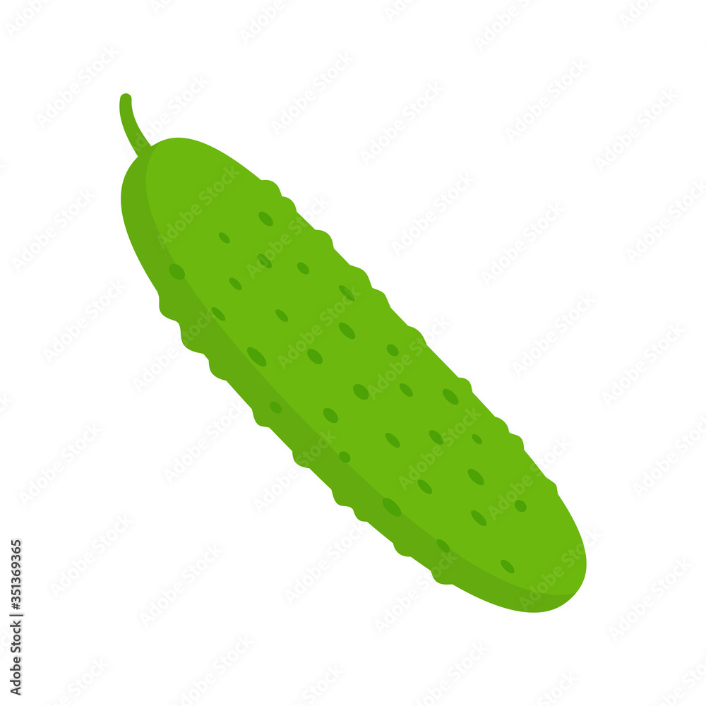 Green cucumber on white background. Vector illustration Green cucumber on white background. Vector illustration