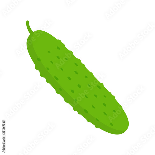 Green cucumber on white background. Vector illustration