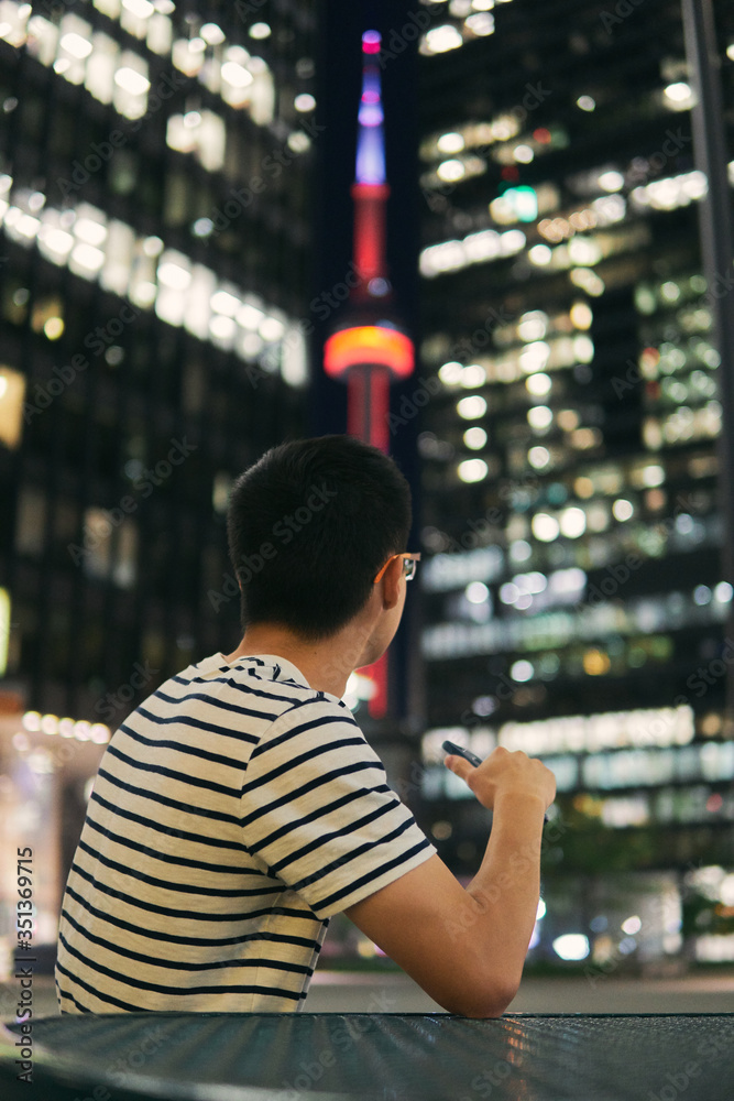 custom made wallpaper toronto digitalToronto Views 