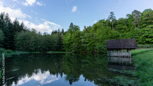time lapse at a small pond in the forest with trees moving in the wind and some light accents