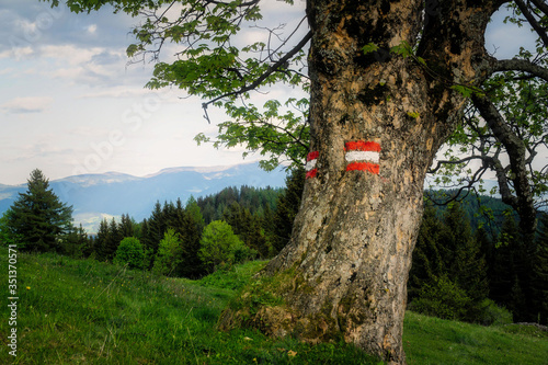 Wanderwege im Lavanttal