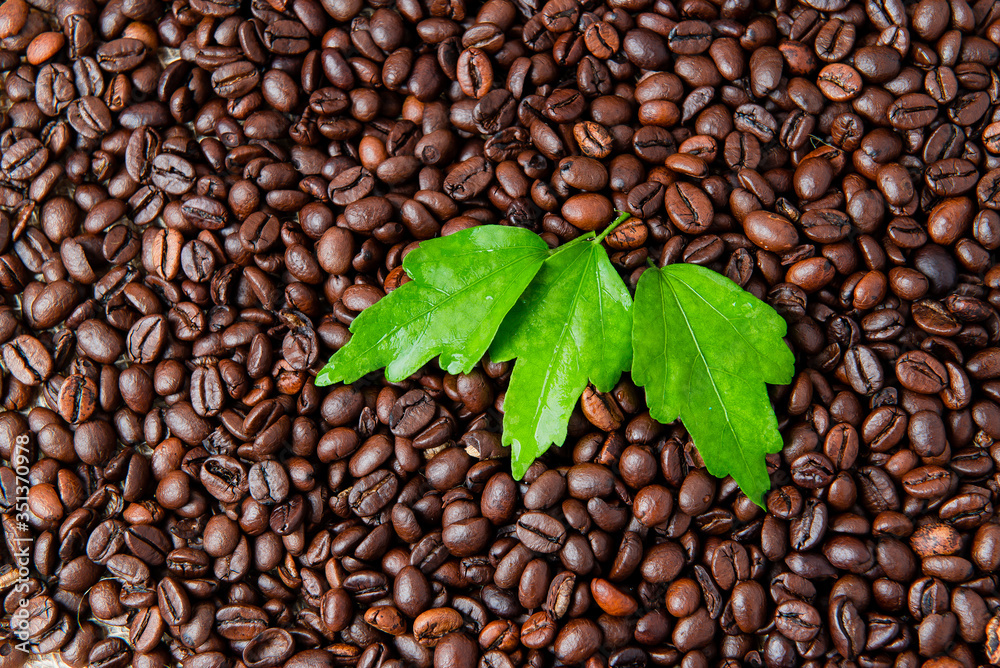Fototapeta premium coffee beans background