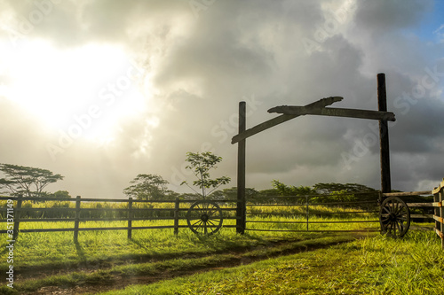 USA, Hawaii, Waimea, Hawaiis wunderschöne Natur und ihre Eindrücke photo