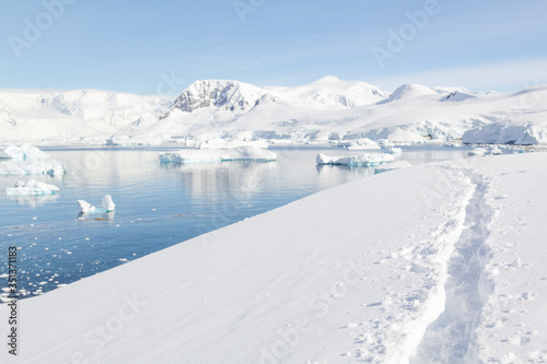 Antarktis, Landausflug auf dem Kontient Antarktis - Spuren im Schnee photo