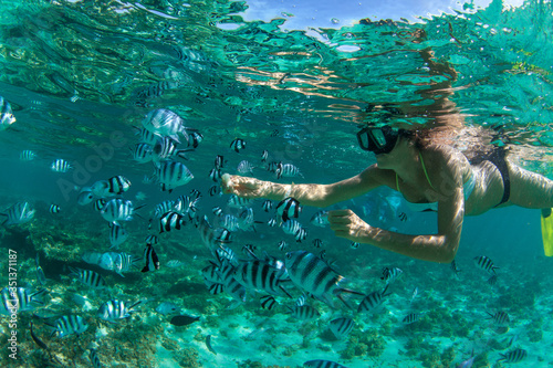 Snorkeling in Mauritius