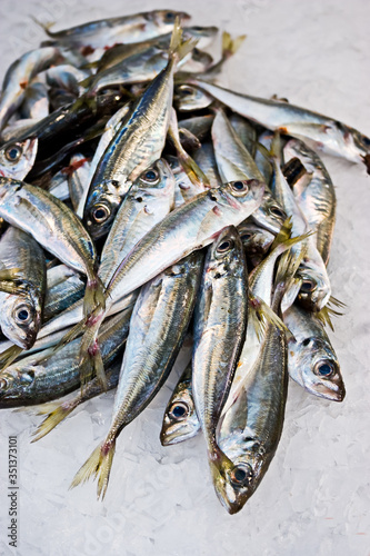Portugal, Lissabon, Der 1882 erbaute Mercado da Ribeira ist die älteste und größte noch erhaltene Markthalle Lissabons. Fische in der Auslage