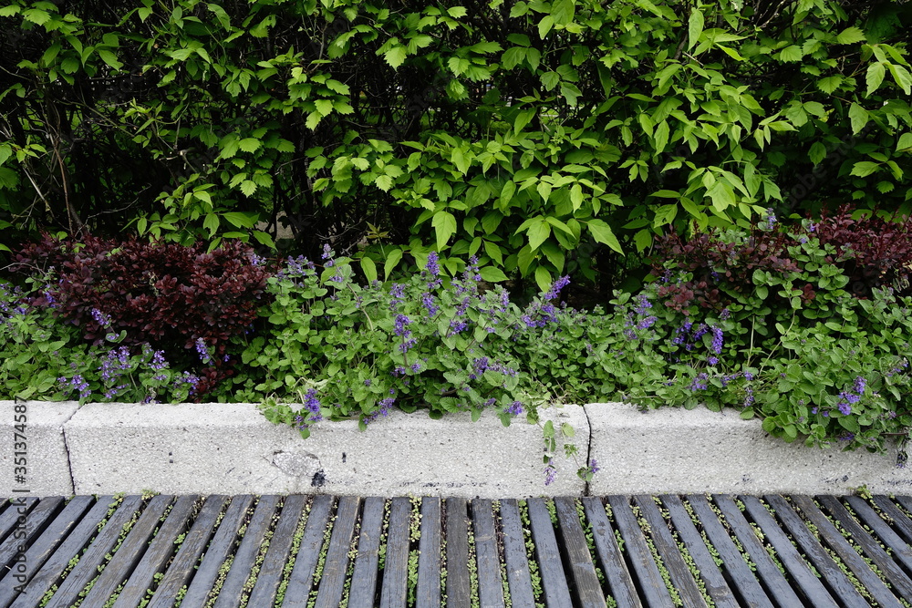Park bench next to bushes and flowers in springtime Park bench next to bushes and flowers in springtime