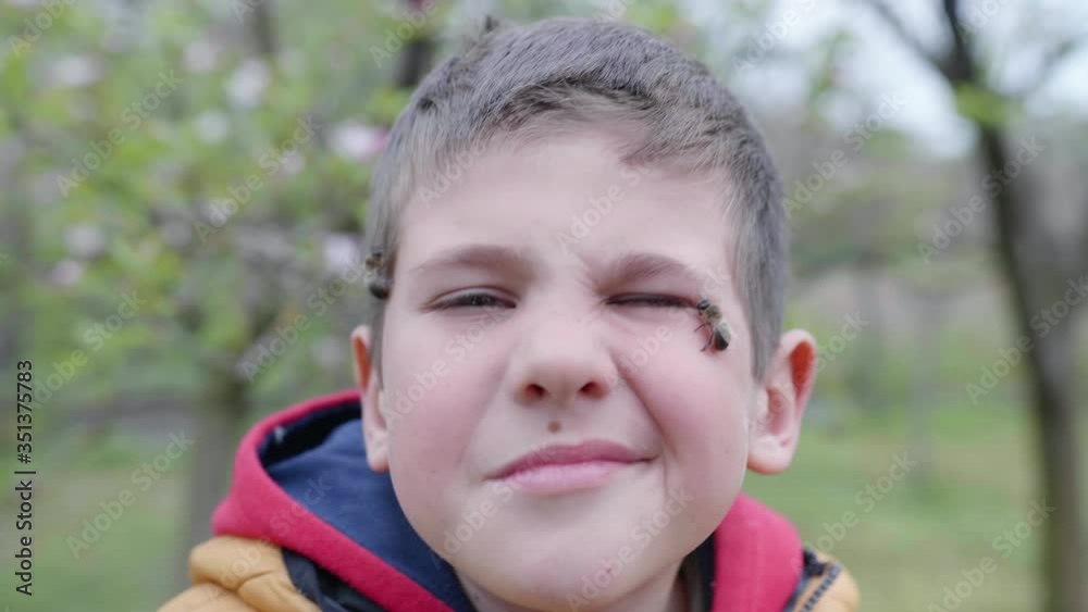 beekeeping, child whose parents have an organic business plays with honey bees on his face without fear of insect ovary while standing in nature during spring season beekeeping, child whose parents have an organic business plays with honey bees on his face without fear of insect ovary while standing in nature during spring season