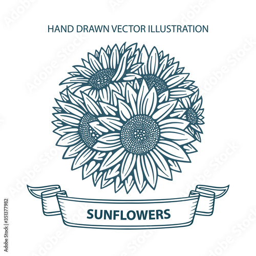 Sunflowers bouquet.  Hand drawn vector vintage engraving style vector illustration. Sunflowers bunch and banner vintage sketch drawing. Tattoo blooming sunflowers. Part of set.
