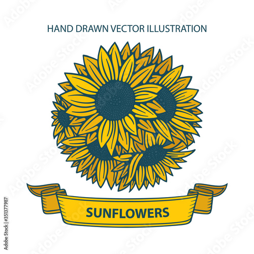 Sunflowers bouquet.  Hand drawn vector vintage engraving style vector illustration. Sunflowers bunch and banner vintage sketch drawing. Tattoo blooming sunflowers. Part of set.