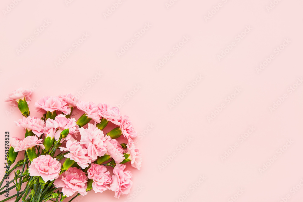Bouquet of pink carnation flowers on pink background. Mothers day, Valentines Day, Birthday celebration concept. Copy space, top view