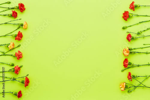 Border of red carnation flowers on green background. Mothers day, Valentines Day, Birthday celebration concept. Copy space, top view