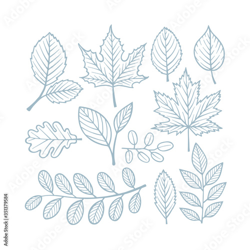 Leafs and branches. Hand drawn different leafs and plants. Sketch drawing floral design elements. Part of set.