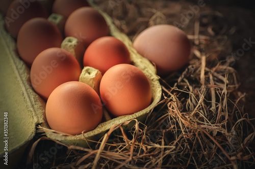 Organic eggs in a ecologic farm of Galician,Spain.