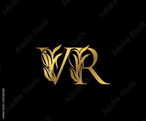 Classy Gold letter V and R, VR  Vintage decorative ornament emblem badge, wedding logo, classy letter logo icon.