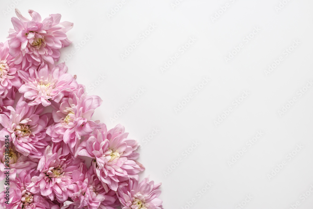 Floral border on white background. Chrysanthemum buds background