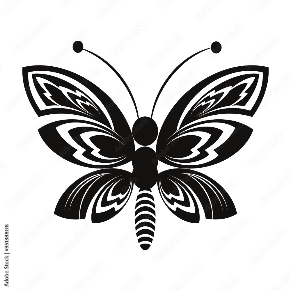 black and white butterfly black and white butterfly