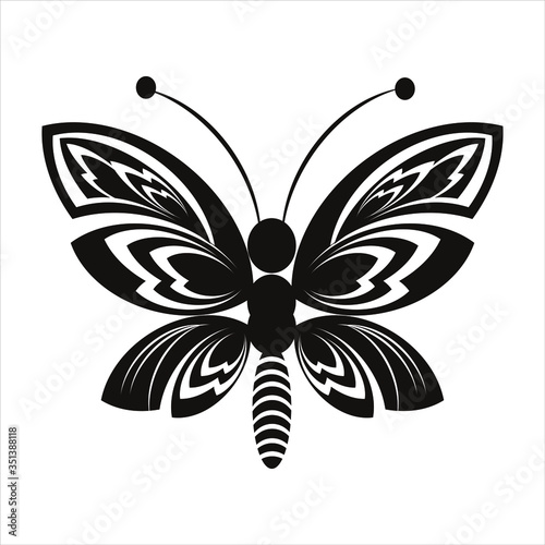 black and white butterfly