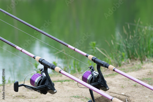 rod and reel in carp fishing action