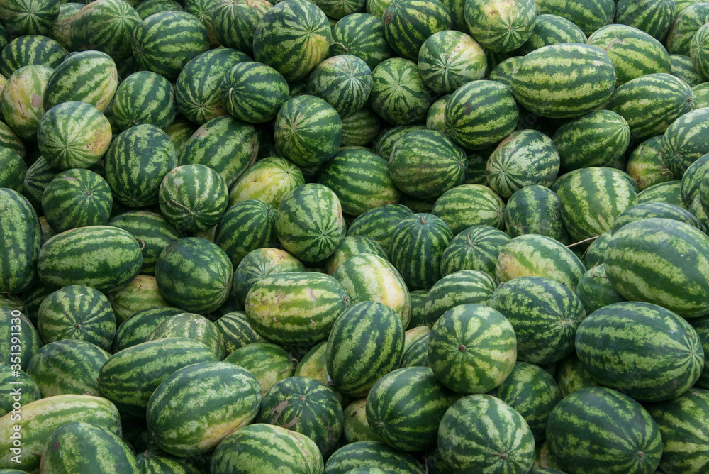 many watermelons stacked for sale at the market in summer in koyambedu, chennai, India many watermelons stacked for sale at the market in summer in koyambedu, chennai, India