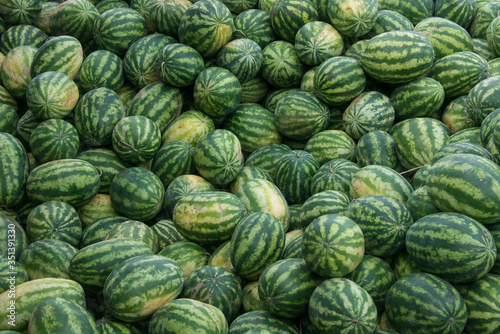 many watermelons stacked for sale at the market in summer in koyambedu, chennai, India