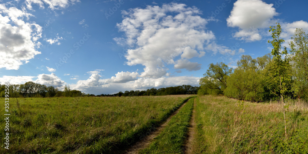 Obraz premium Spring walks in the woods and fields.